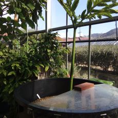 Yamashina Botanical Research Institute