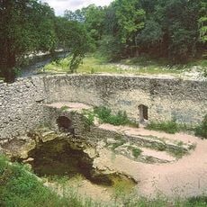Suwannee Springs