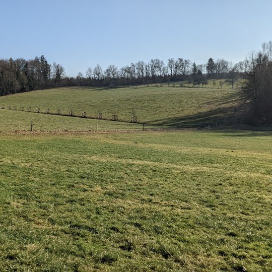 Bodendenkmal in Balzhausen, #D-7-7729-0029