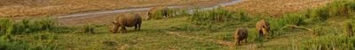 Vista panorámica 0