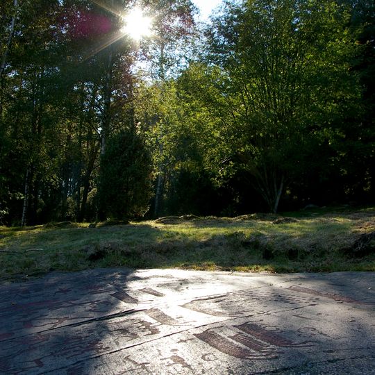 Rotstekeningen van Fossum