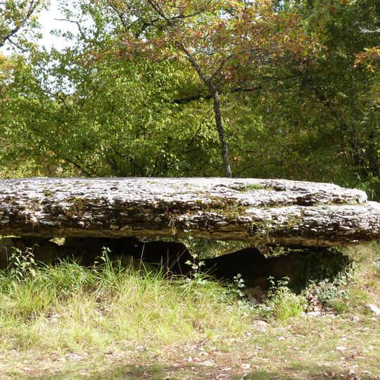 Dolmen de la Peyro Levado