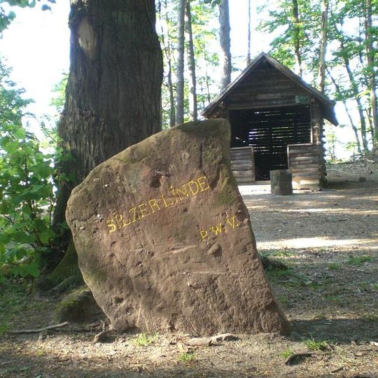 Ritterstein 34 "Silzer Linde"