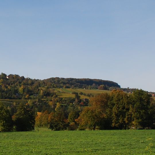 Tüllinger Berg