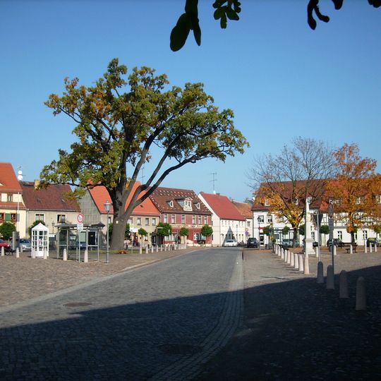 Naturdenkmal  Stieleiche auf dem Marktplatz; Flur 1; Flurstück 1050 in Uebigau