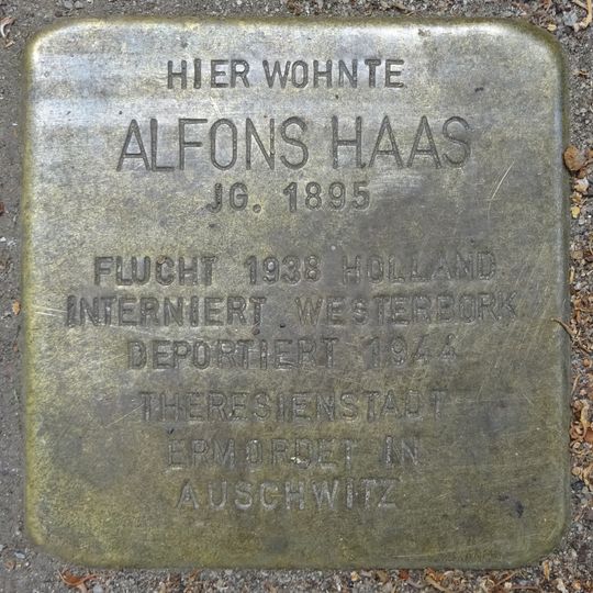 Stolperstein dedicated to Alfons Haas