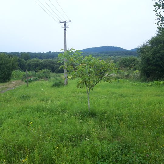 Kashtanovyi Hai Natural Monument