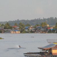 Doğu Kalimantan