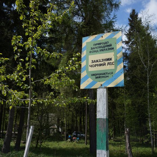 Chornyi Forest, Yarmolyntsi Raion