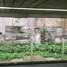 Trilho, Ritmo e Vibração