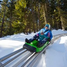 Wiz Luge