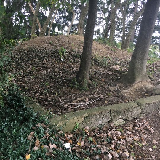 Partially Buried Woodshed