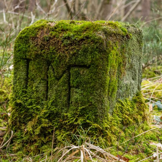 Grenzstein Fürther Stadtwald in Fürth