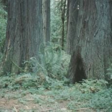 Lewis & Clark State Park