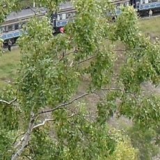 Circum-Baikal Railway