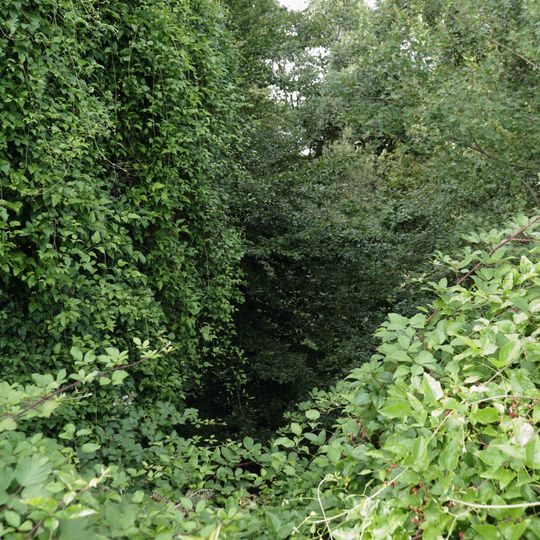 Schilfsandstein-Steinbruch "Unterer Hohberg"