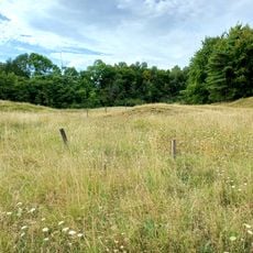 Werther Heide und Napoleonsweg