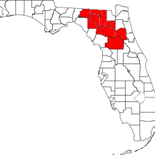 North central Florida