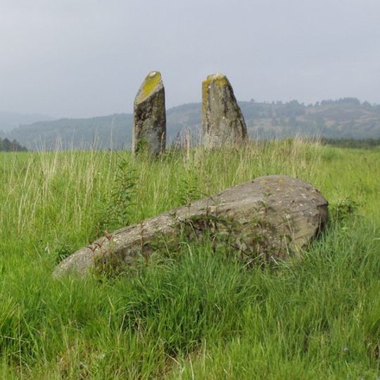 Steinreihe auf der East Cult Farm