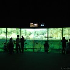 Yokohama Hakkeijima Sea Paradise