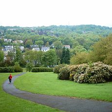 Bingham Park and Whiteley Woods