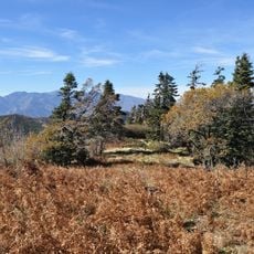 San Bernardino National Forest