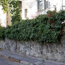 Vila so záhradou, záhrada