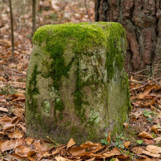 Grenzstein Fürther Stadtwald in Fürth