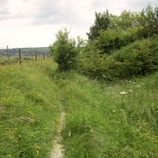 Cross dyke, 200m south east of Hosedon Linn