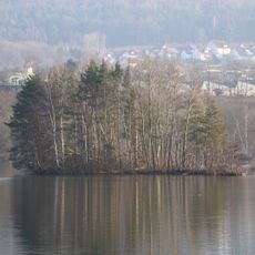 Röhrichtinsel im Baggersee Äußerer Mühlgrund