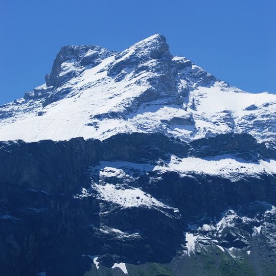 Schärhorn
