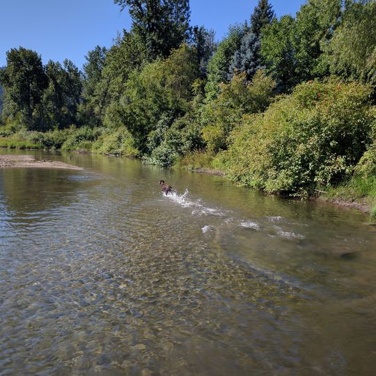 Shore Street River Access