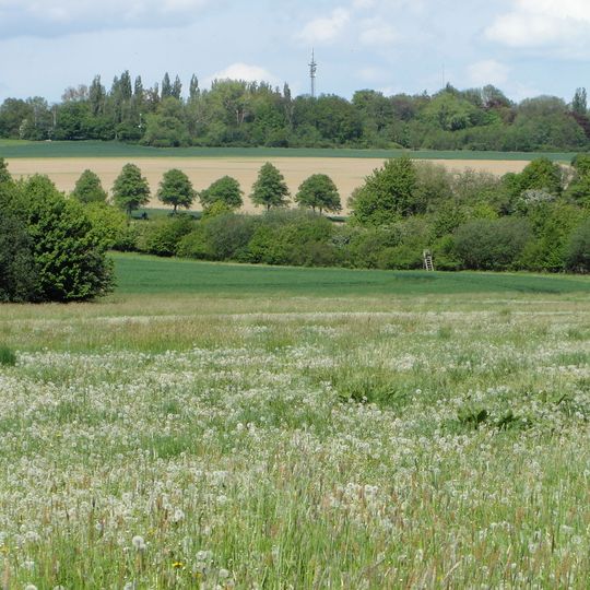 Benther Berg - Südaue
