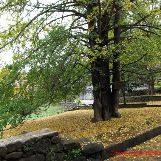 Gudong Town, Tengchong