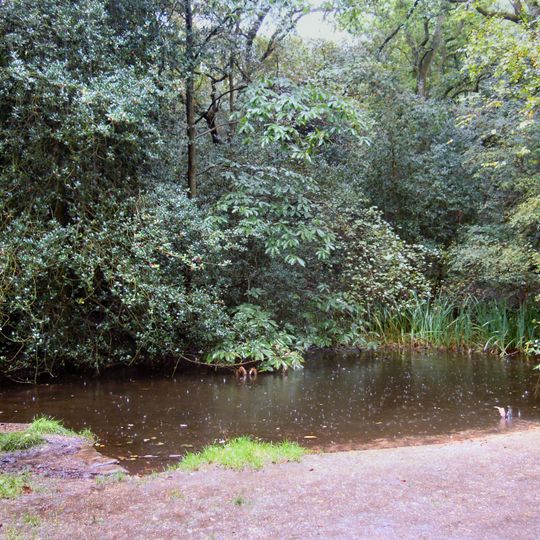 Rowhill Nature Reserve