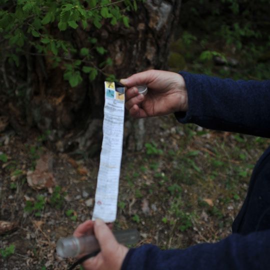 En tall Lysings häradsallmänning