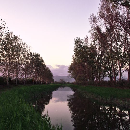 Padule di Fucecchio