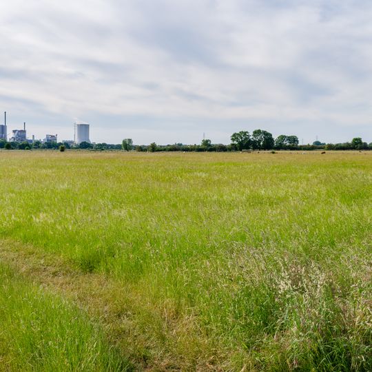 NSG Forschungsrevier im Orsoyer Rheinbogen