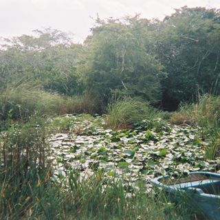 Parque nacional Ciénaga de Lanier