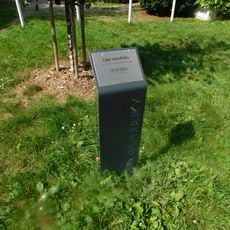 Lípa republiky v Klánovicích