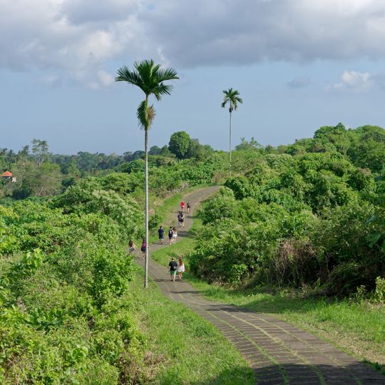 Campuhan Ridge Walk