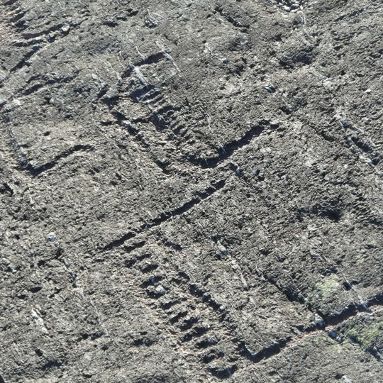 Felsritzungen von Austre Åmoy