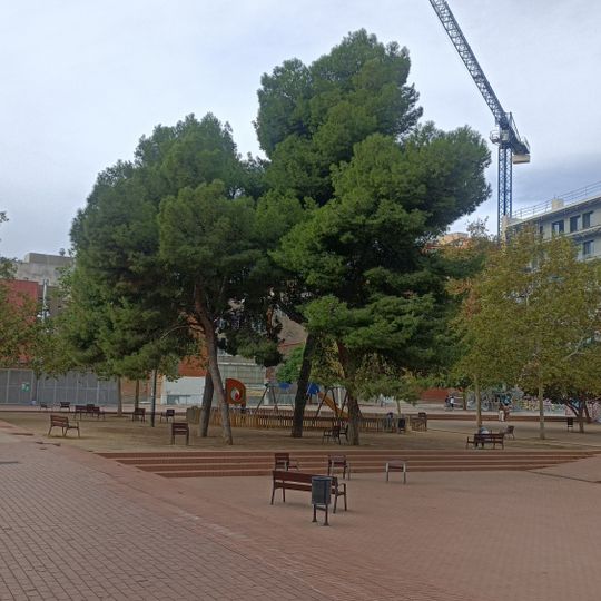 Jardins de Celestina Vigneaux