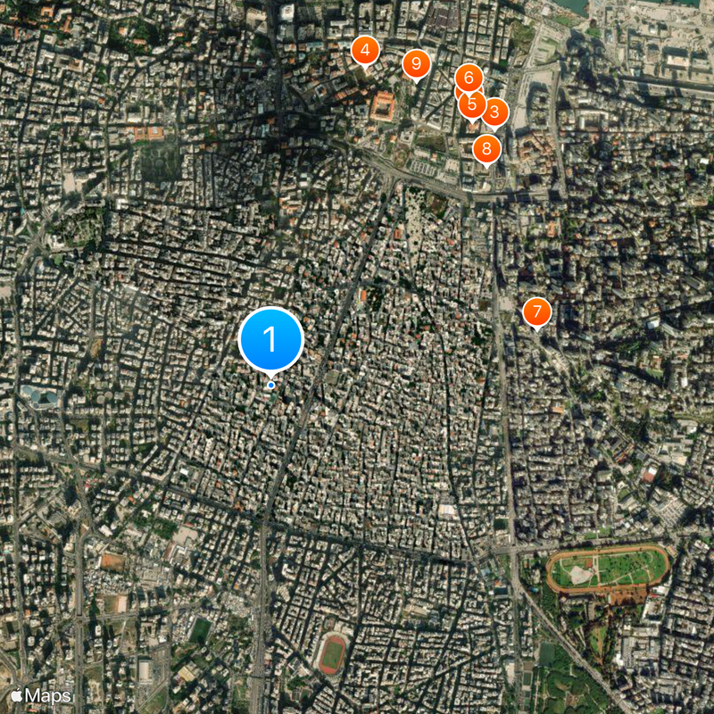 Lebanese International University Map