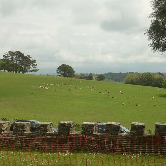 Walls Enclosing The Gardens To South And East Of Prideaux Place, Flanking The South Entrance And Continuing South From The Mock Fortifications