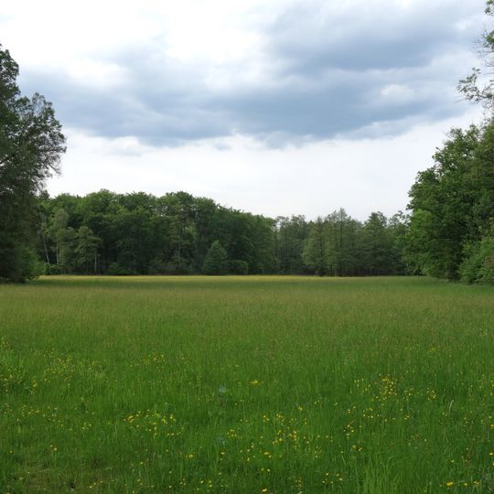 Großer und kleiner Bruch bei Roßdorf