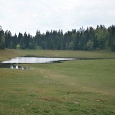 Wildmoossee