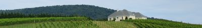 Panoramic View 0