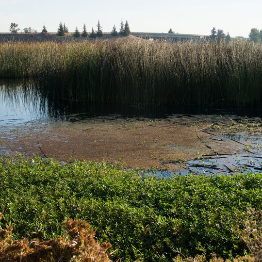 Stone Lakes National Wildlife Refuge