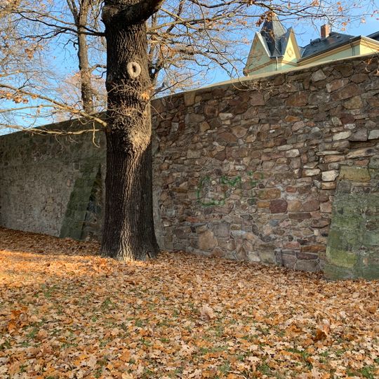 Mauerreste einer Burganlage Karrasstraße 4